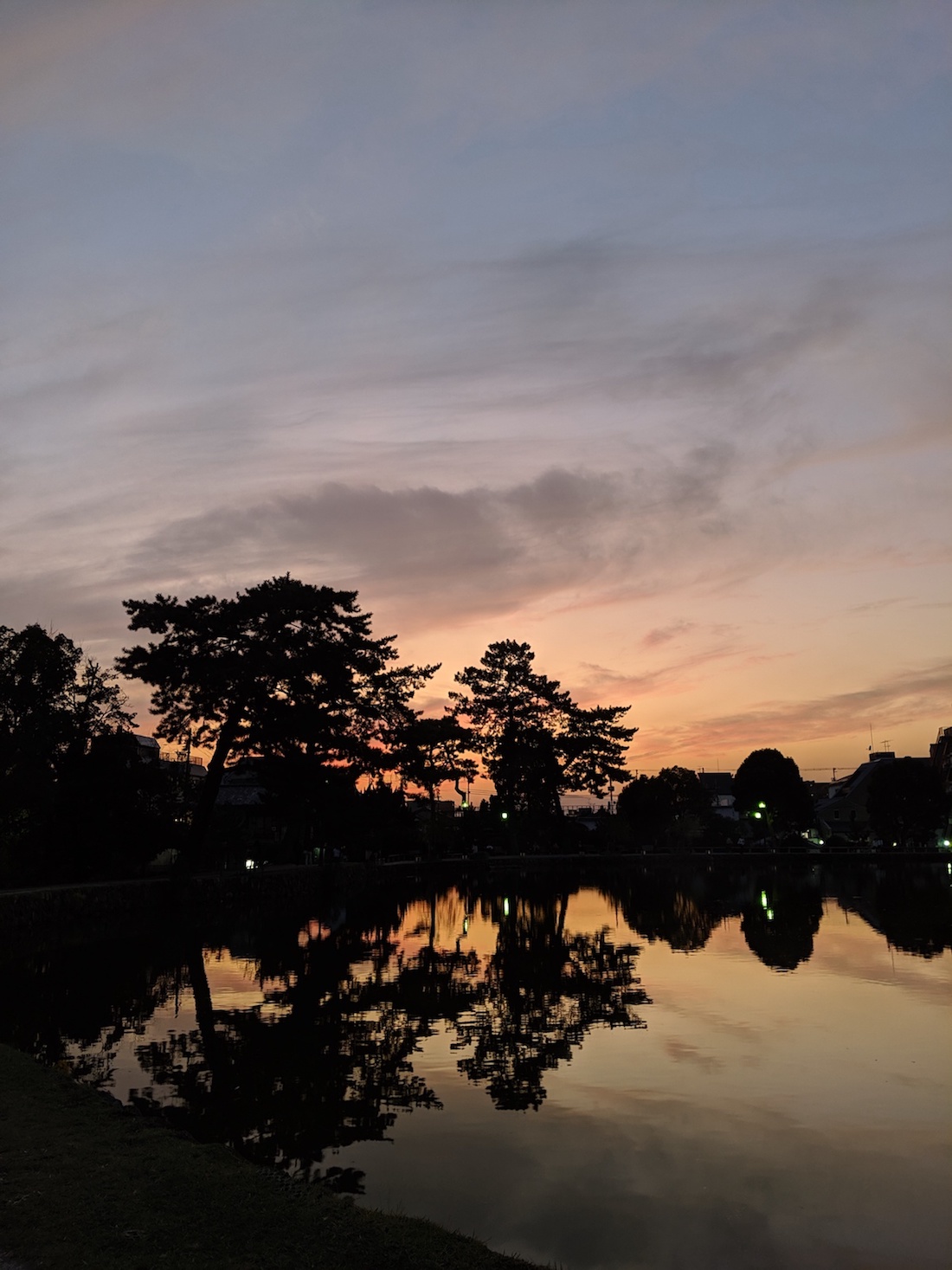 猿沢池の夕日