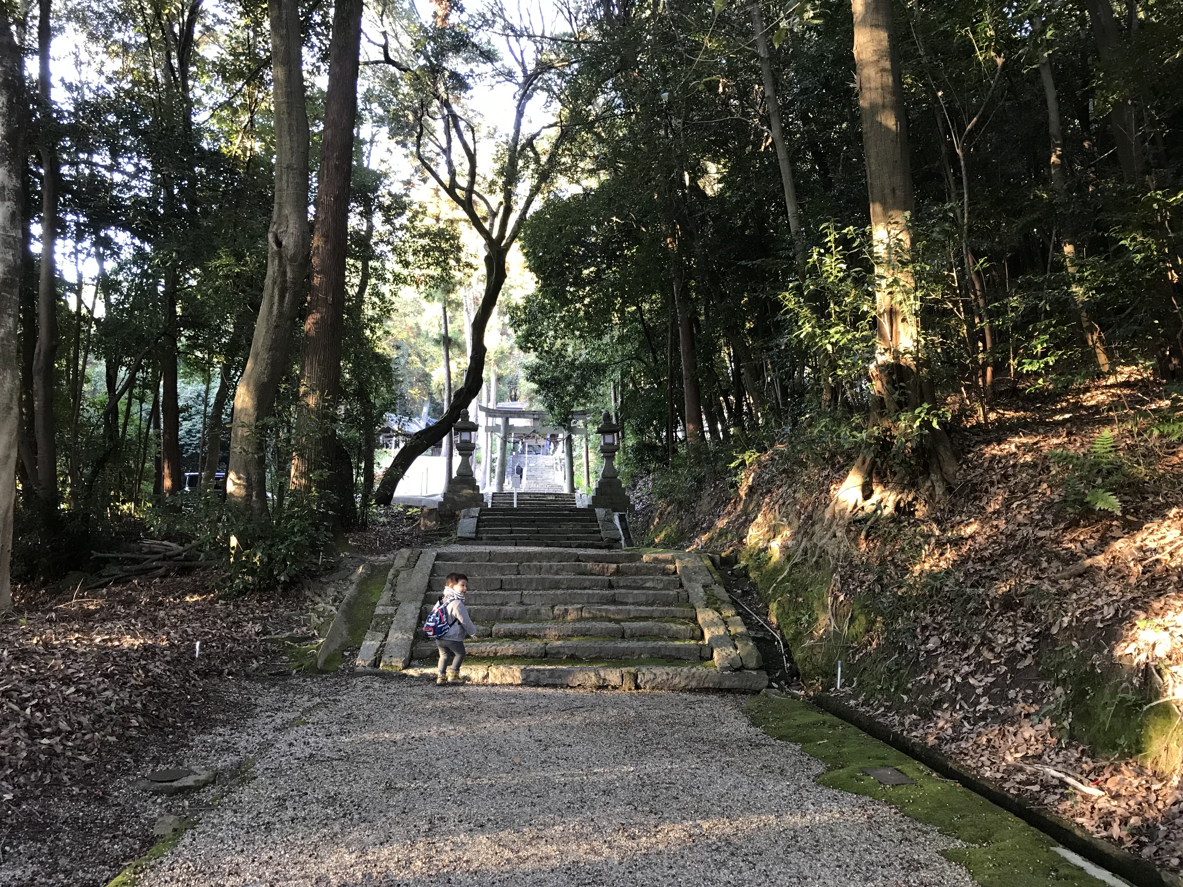 神社の参道